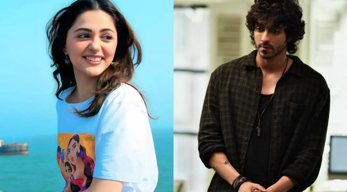 Saiyaara Box Office Collection